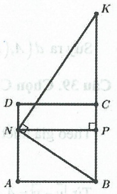 image11.jpg