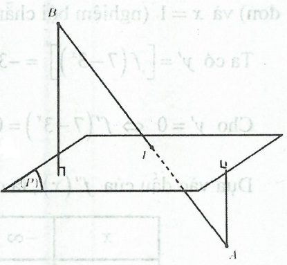 image11.jpg