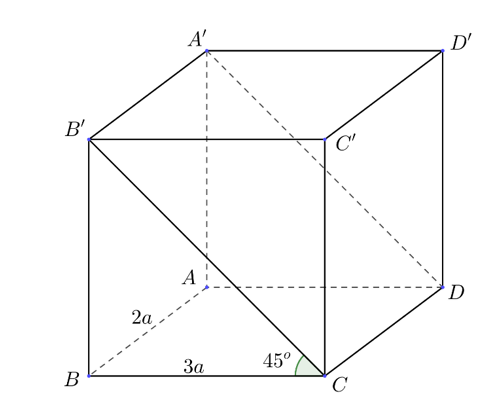 image11.png