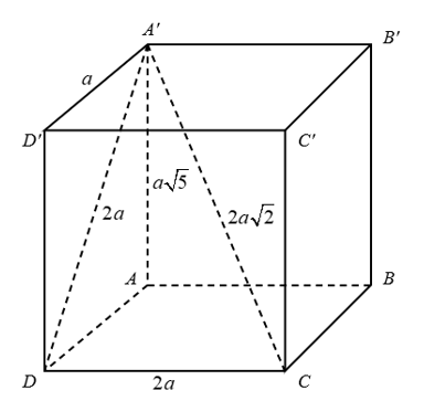 image11.png