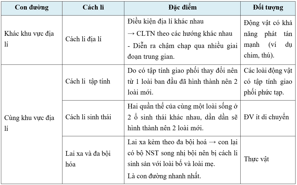 image11.png