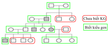 image11.png