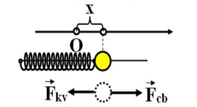 image11.png