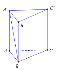 image11.png
