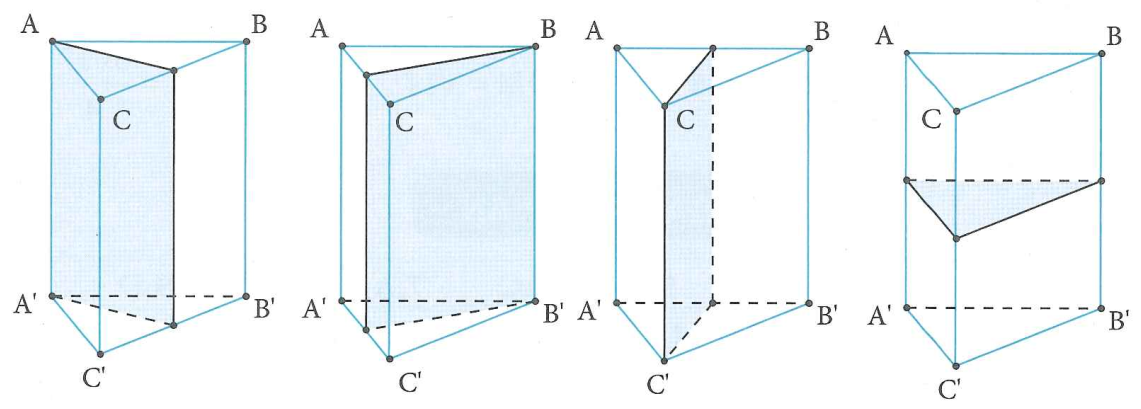 image11.png