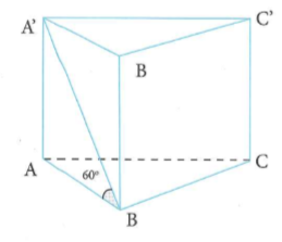 image11.png