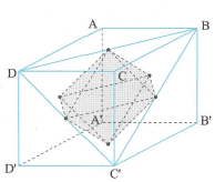 image11.png