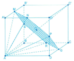 image11.png