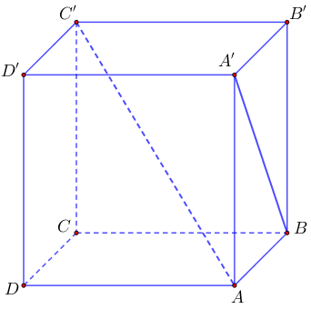image11.png
