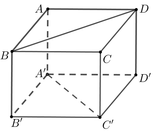 image11.png