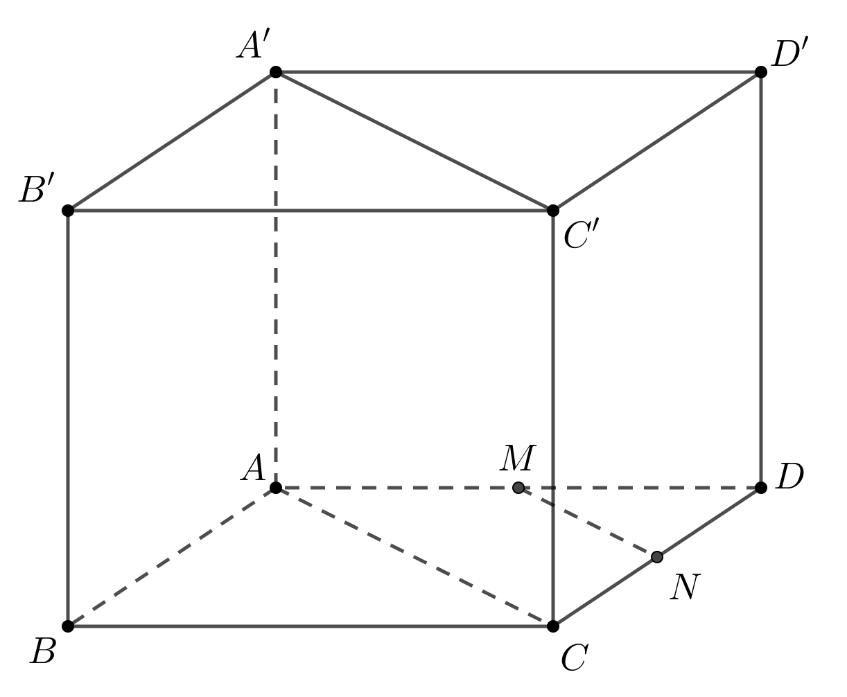 image11.png