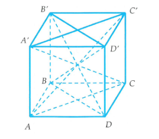 image11.png