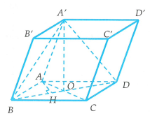 image11.png