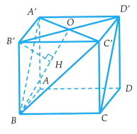 image11.png