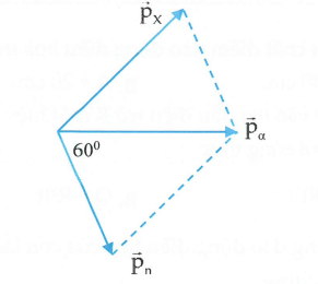 image11.png
