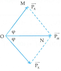 image11.png