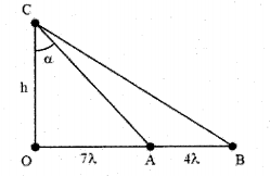 image11.png