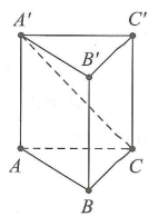 image11.png