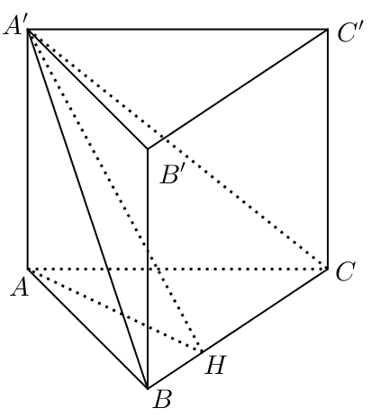 image11.png
