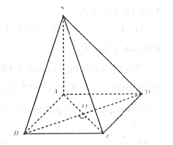 image11.png