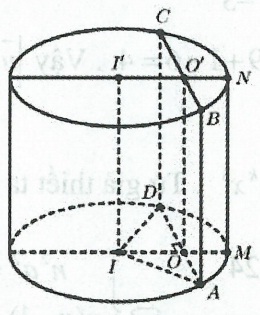 image12.jpg