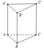 image12.jpg