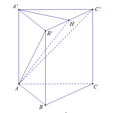 image12.png