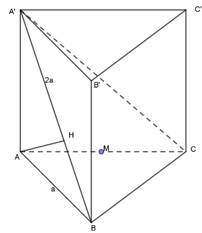 image12.png