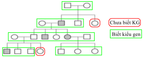 image12.png