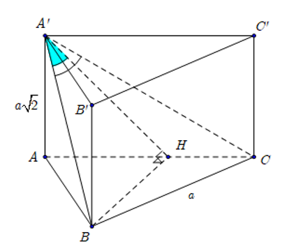 image12.png