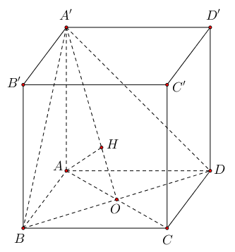 image12.png