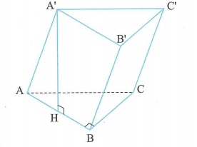 image12.png
