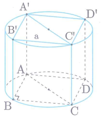 image12.png