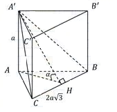 image12.png