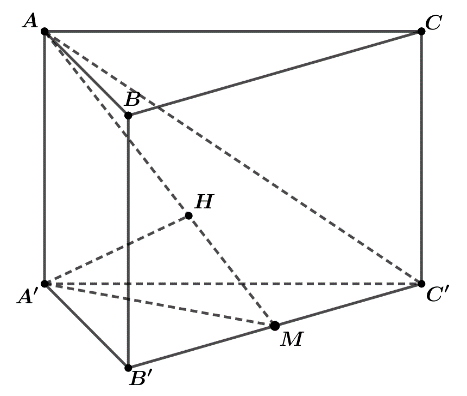image12.png