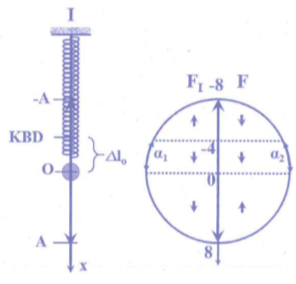 image12.png