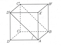 image12.png