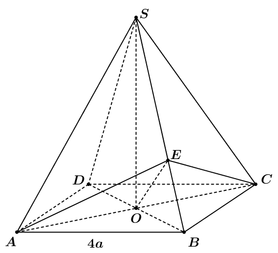 image12.png