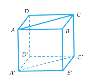 image12.png