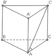 image12.png