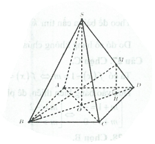 image12.png