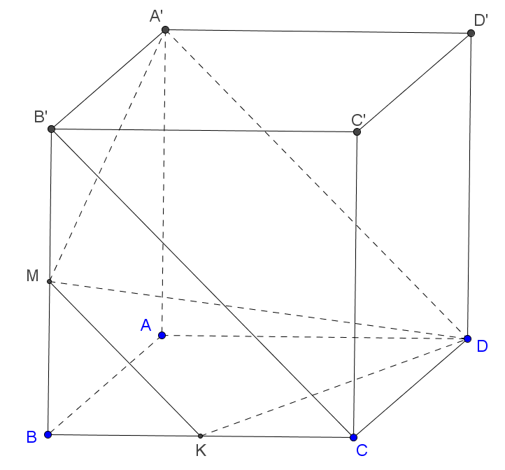 image12.png