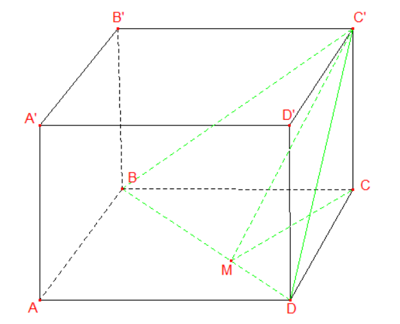 image12.png
