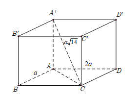 image13.png