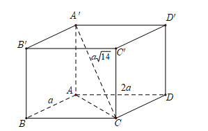 image13.png