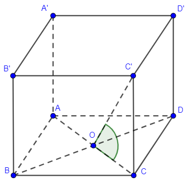 image13.png