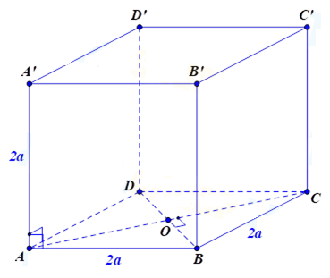 image13.png