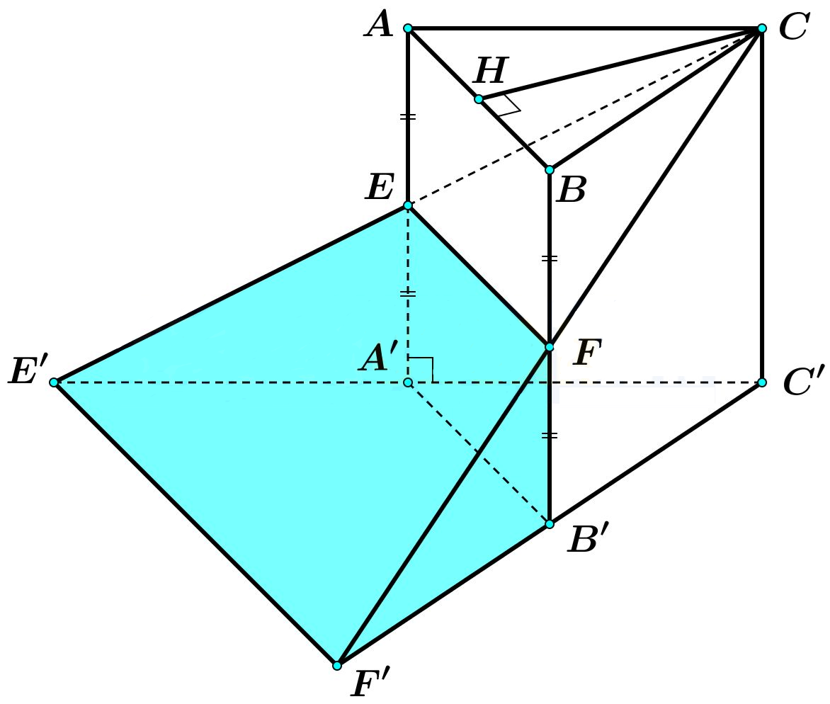 image13.png