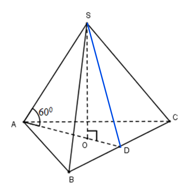 image13.png