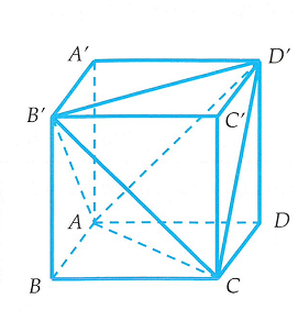 image13.png
